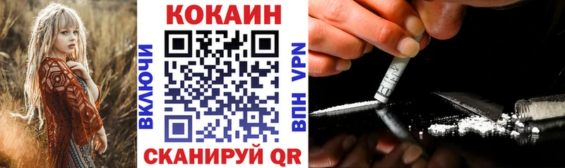 Купить где  Петровск  Кокаин Fish Scale 