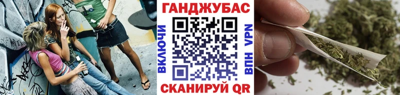 Купить закладки  Петровск  Бошки марихуана гибрид 